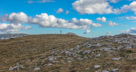 Gipfelkuppe des Windberges 1903 m